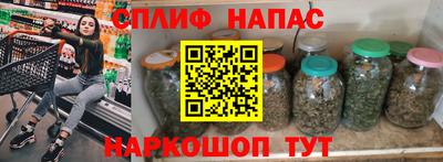 гидра Заводоуковск