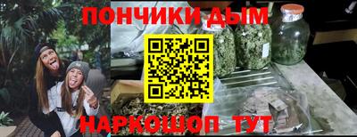 гидра Заводоуковск