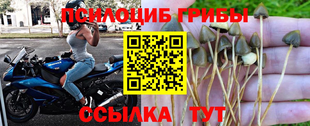 Галлюциногенные грибы мухоморы  Вход с VPN  Псилоцибиновые грибы MAGIC MUSHROOMS  Муром 